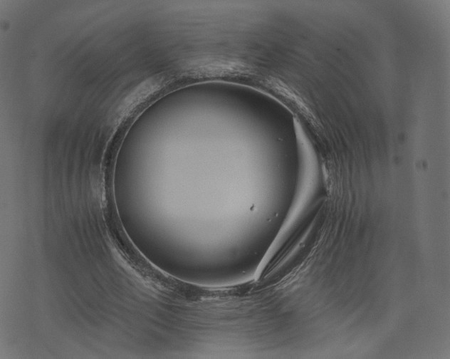 X0000076430582200610061234