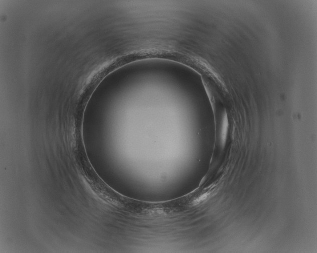 X0000076430588200610061234