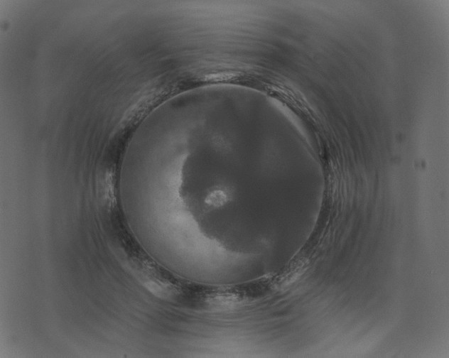 X0000076430598200610061234