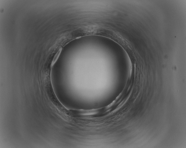 X0000076430601200610061234
