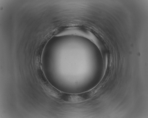 X0000076430605200610061234