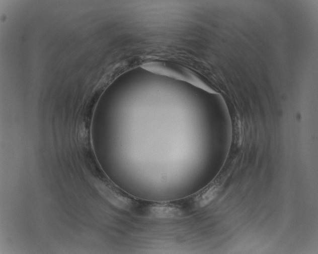 X0000076430614200610061234