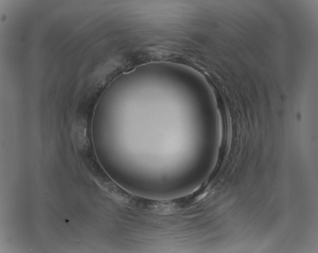X0000076430615200610061234