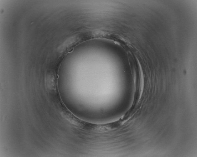 X0000076430619200610061234