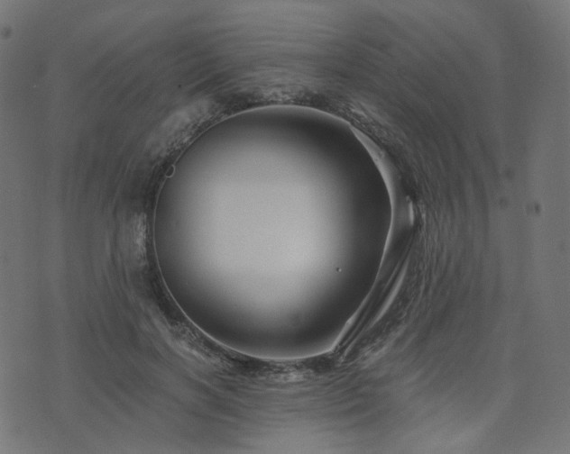 X0000076430646200610061233