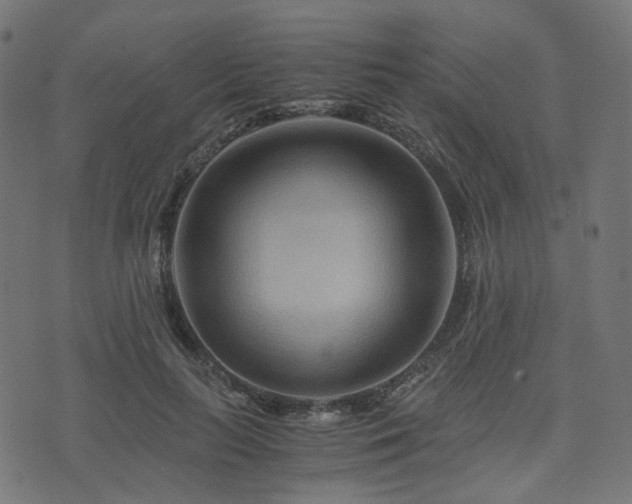 X0000076430647200610061233