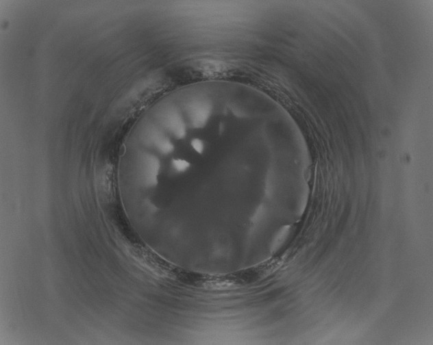 X0000076430650200610061233