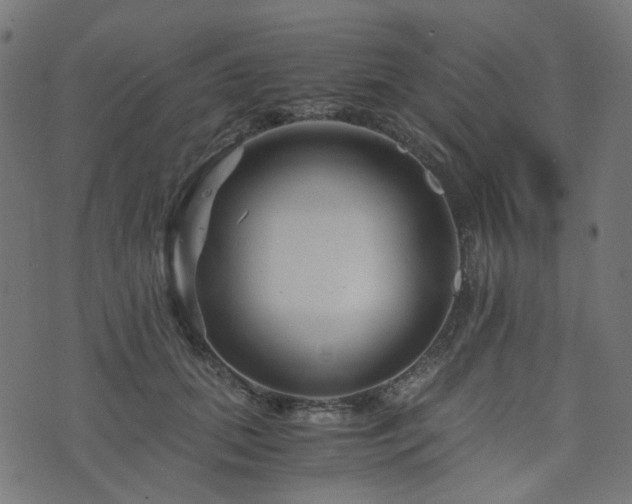 X0000076430655200610061233