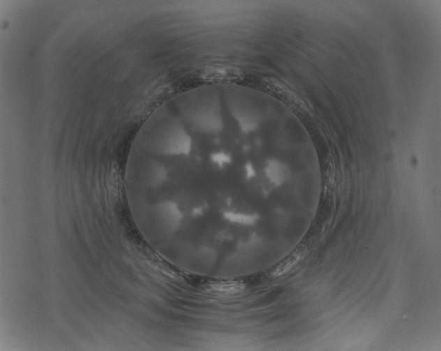 X0000076430659200610061233