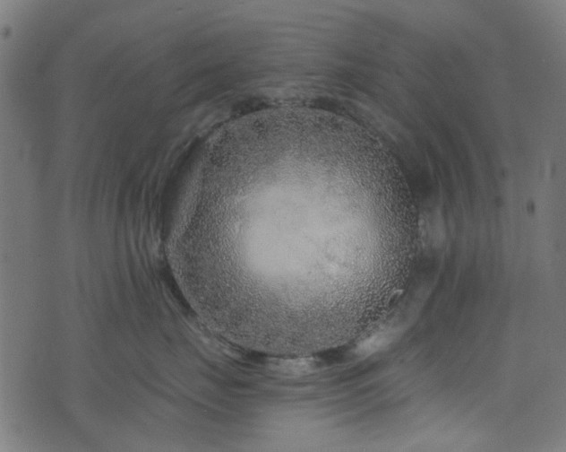 X0000076430671200610061234