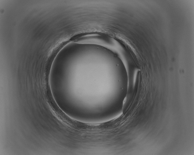 X0000076430677200610061233