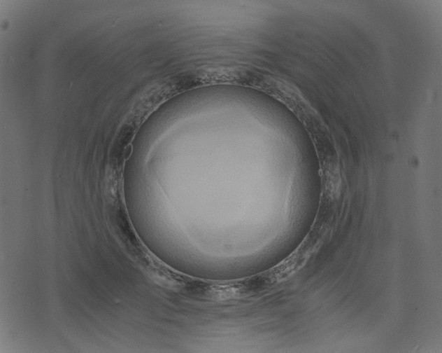 X0000076430701200610061232
