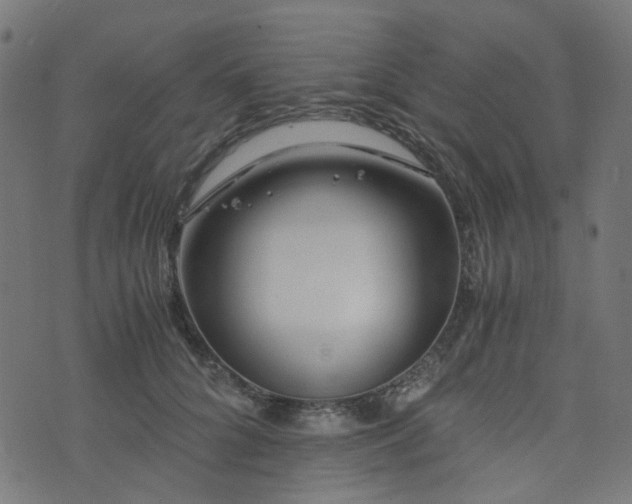 X0000076430704200610061232