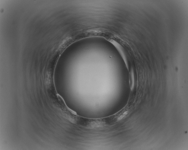 X0000076430708200610061232