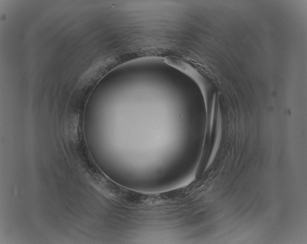 X0000076430742200610061232