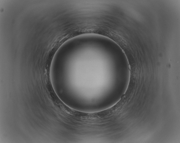 X0000076430743200610061232