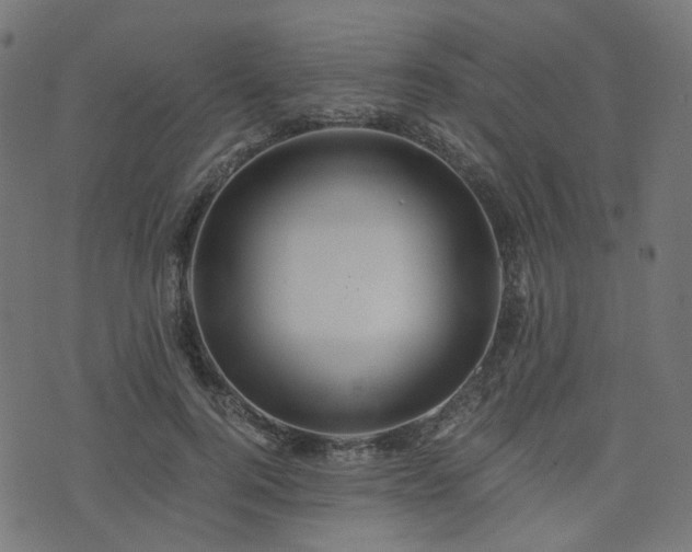 X0000076430744200610061232