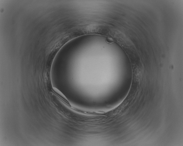 X0000076430746200610061232