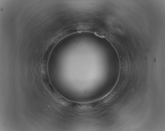 X0000076430755200610061232
