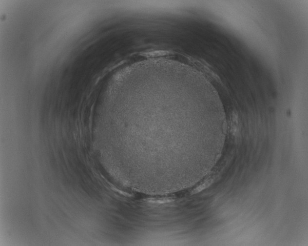 X0000076430763200610061232