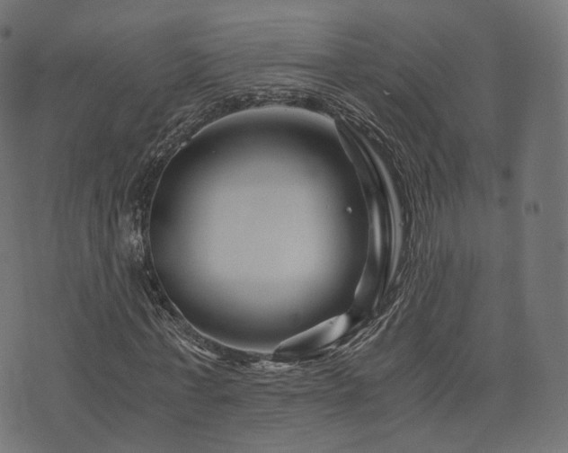 X0000076430771200610061231