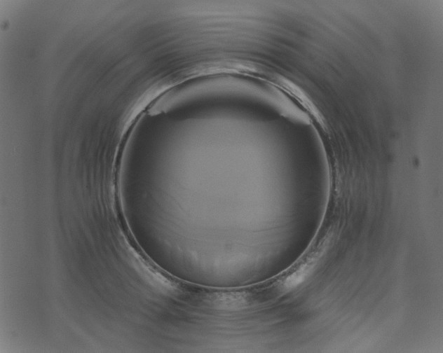 X0000076430802200610061231
