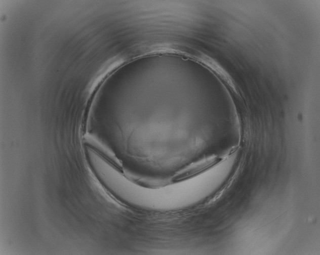 X0000076430806200610061231
