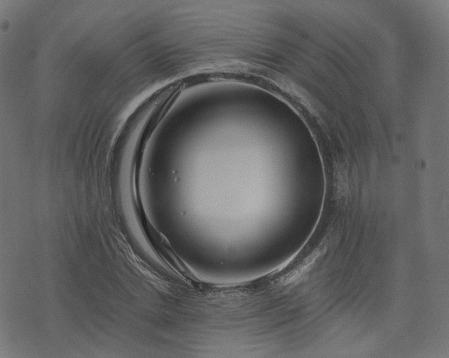 X0000076430830200610061230
