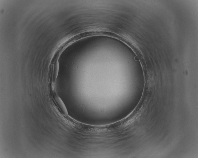 X0000076430831200610061230