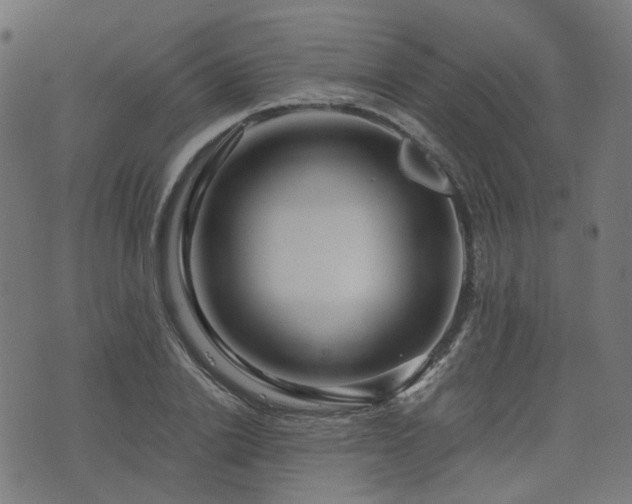 X0000076430838200610061230