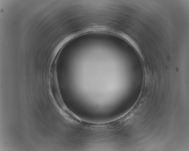 X0000076430861200610061230