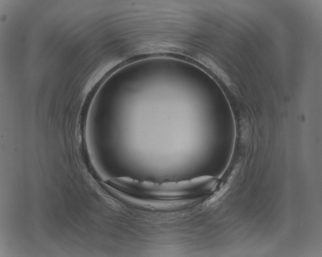 X0000076430885200610061229