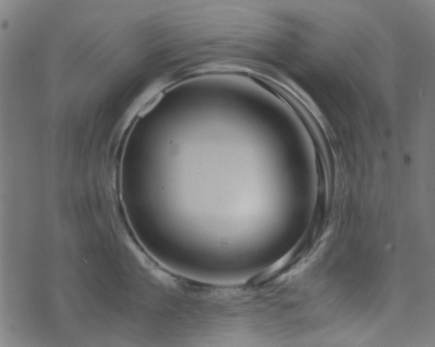 X0000076430909200610061229
