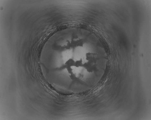X0000076430913200610061228