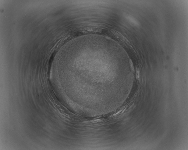 X0000076430915200610061228