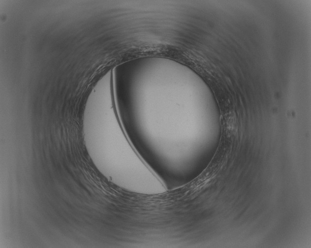 X0000076430916200610061228