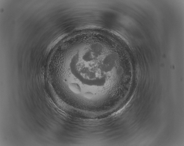 X0000076430921200610061228