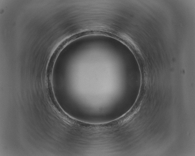 X0000076430924200610061228