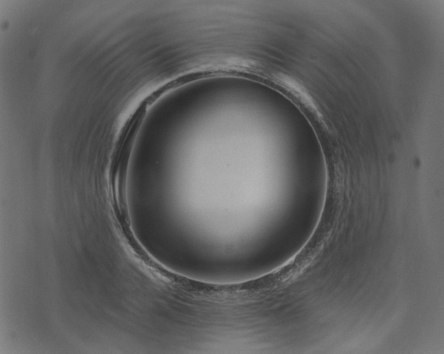 X0000076430936200610061229