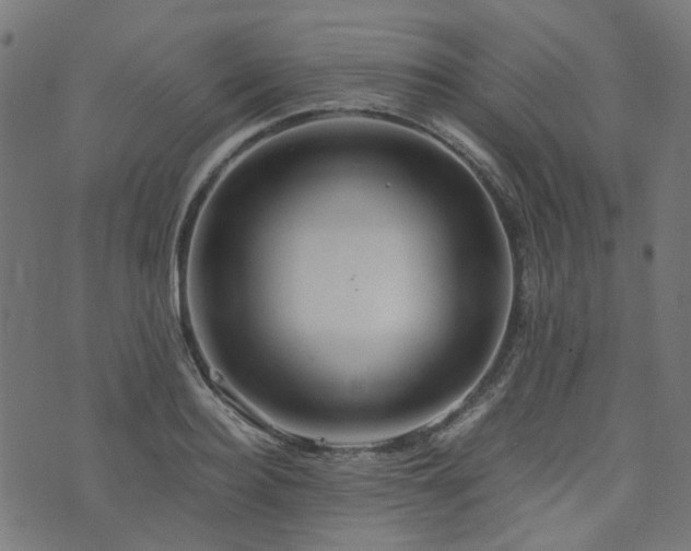 X0000076430940200610061229