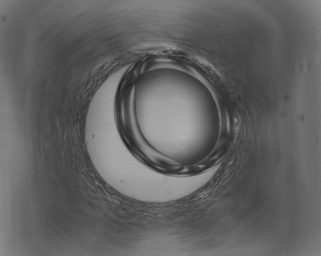 X0000076430965200610061228