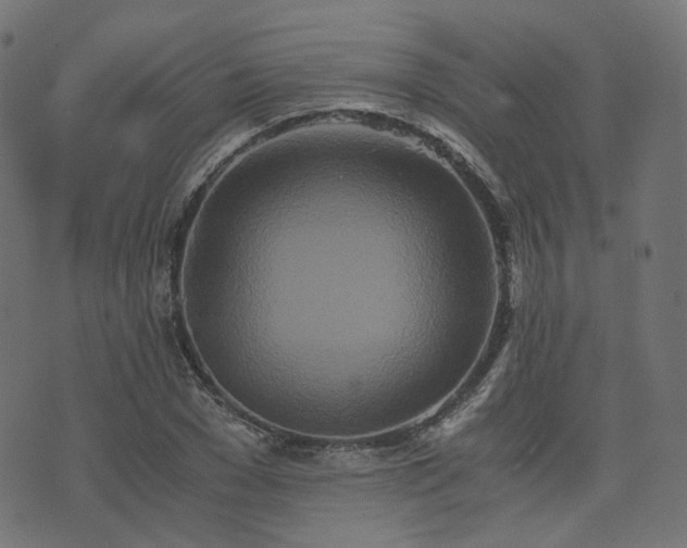 X0000076430977200610061228