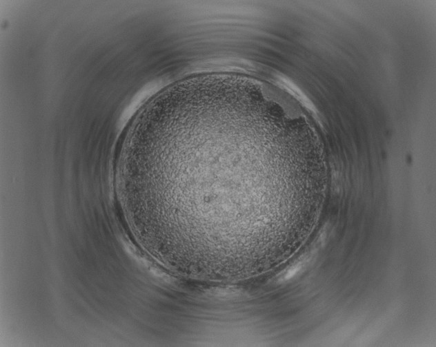 X0000076430994200610061228