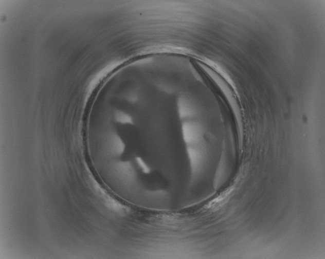X0000076430995200610061228