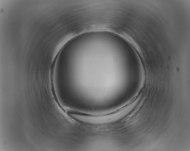 X0000076431006200610061227