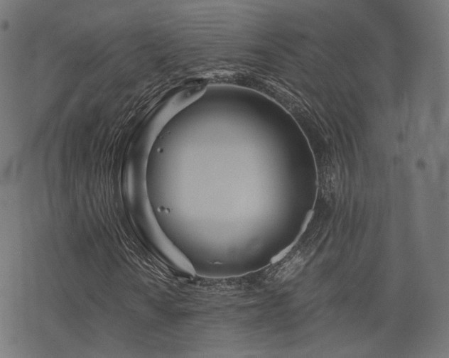 X0000076431010200610061227