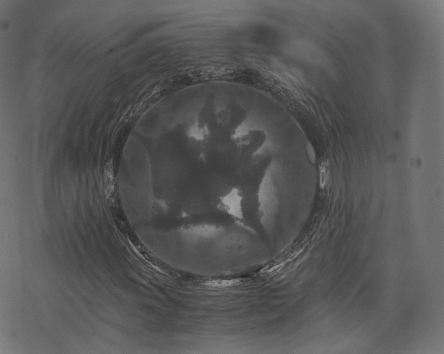 X0000076431011200610061227