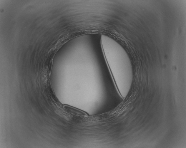 X0000076431012200610061227