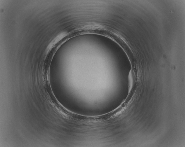 X0000076431018200610061227