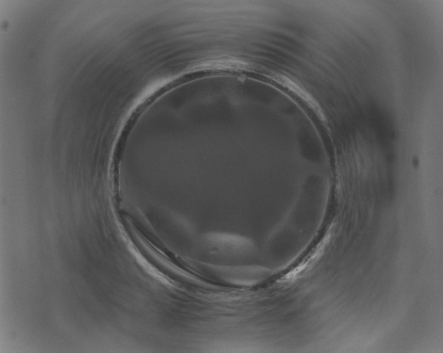X0000076431037200610061227